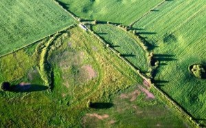 Damage to one of the Priddy Circles
