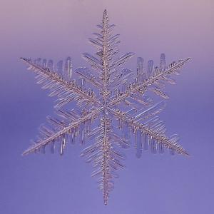 snowflake-saiph--2010-paul-burwell