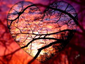 1510822_601496613220600_1842923415_n