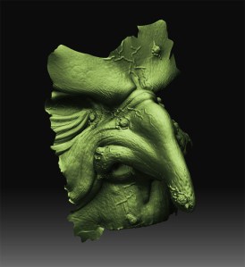 87e9044d329a3fa902664392e18fb6d4