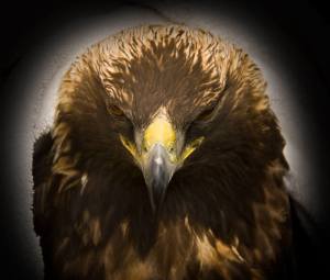 1477604_10203688665087327_1209942405_n