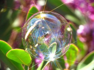 10291851_10202700664170458_7082107308206127152_n