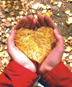 autumn-leaves-heart-shape-300