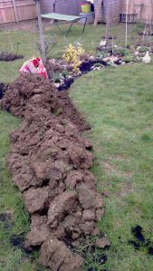 12987101_10207604854372148_2784611090115657213_n