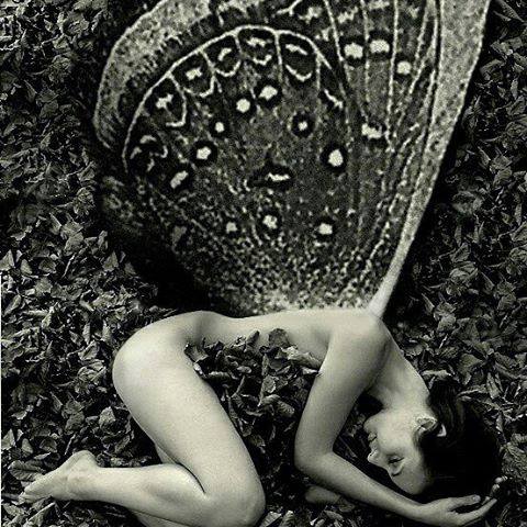 14516569_624765725416_266905968757448409_n