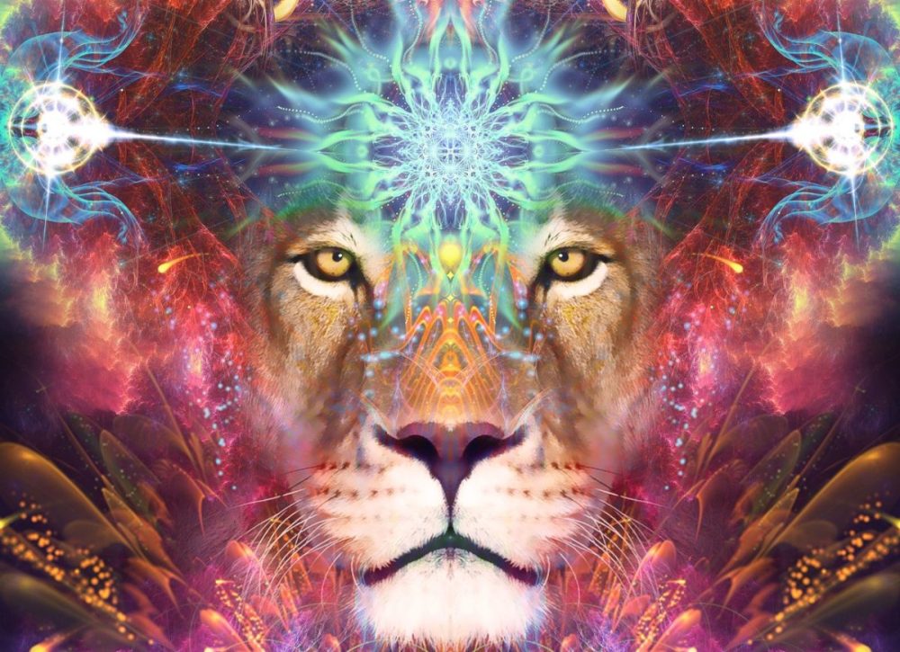 genesis___c__by_psiloteric_visions_by_psilotericvisions-dbr34zy-e1533726966263